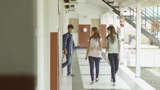 Grupo de razas mixtas adolescentes felices saliendo de la escuela, filtro vintage — Vídeo de stock