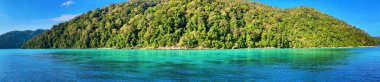 Mu Ko Surin Ulusal Parkı, Tayland. Güneşli bir sabahta ada bitkisi. Panoramik görünüm.