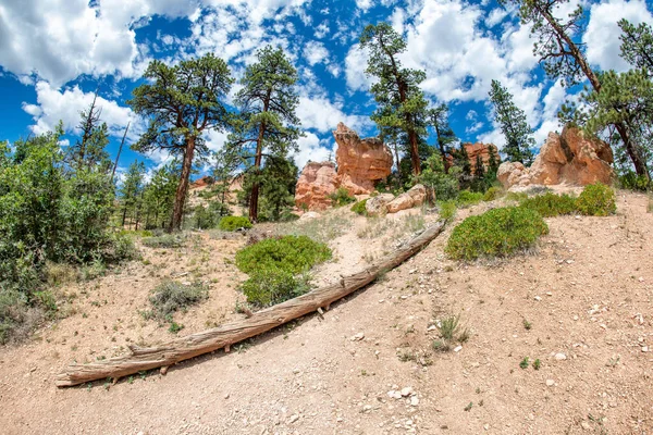 Fantastisk Vidvinkel Utsikt Över Bryce Canyon Spår Sommarsäsongen Usa — Stockfoto