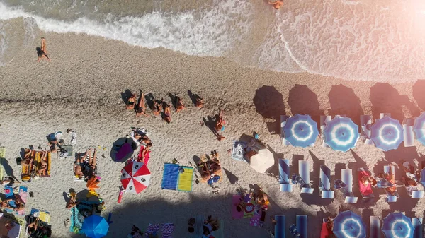 Vista Aérea Sombrillas Playa Forradas Una Playa Tropical —  Fotos de Stock