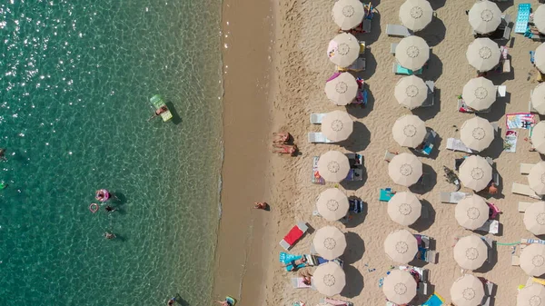 Vue Aérienne Des Parasols Alignés Sur Une Plage Tropicale — Photo