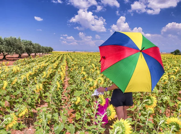 Vue Arrière Femme Avec Fille Regardant Prairie Tournesols Saison Estivale — Photo