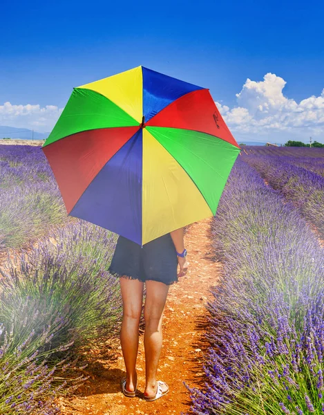 Visão Traseira Mulher Olhando Para Prado Lavanda Temporada Verão Feminino — Fotografia de Stock