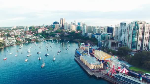 Vista Panorámica Aérea Del Puerto Sydney Nueva Gales Del Sur — Vídeos de Stock