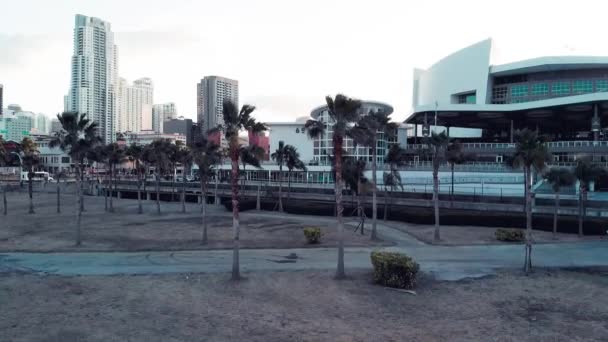 Från Ferre Park området har du utsikt över Miami centrum. Långsamma rörelser — Stockvideo