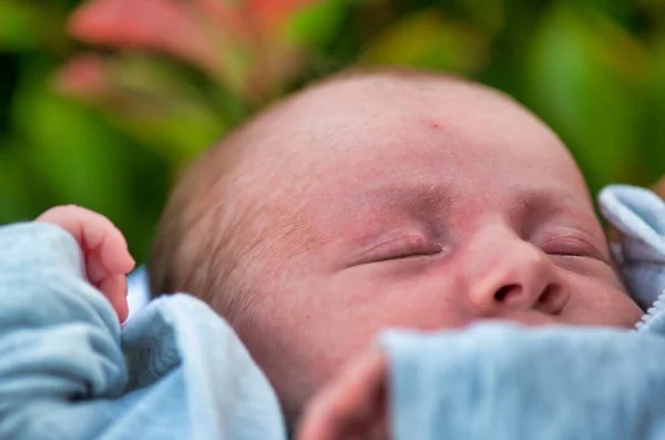 Primer Plano Cara Del Bebé Recién Nacido Durmiendo Aire Libre — Foto de Stock