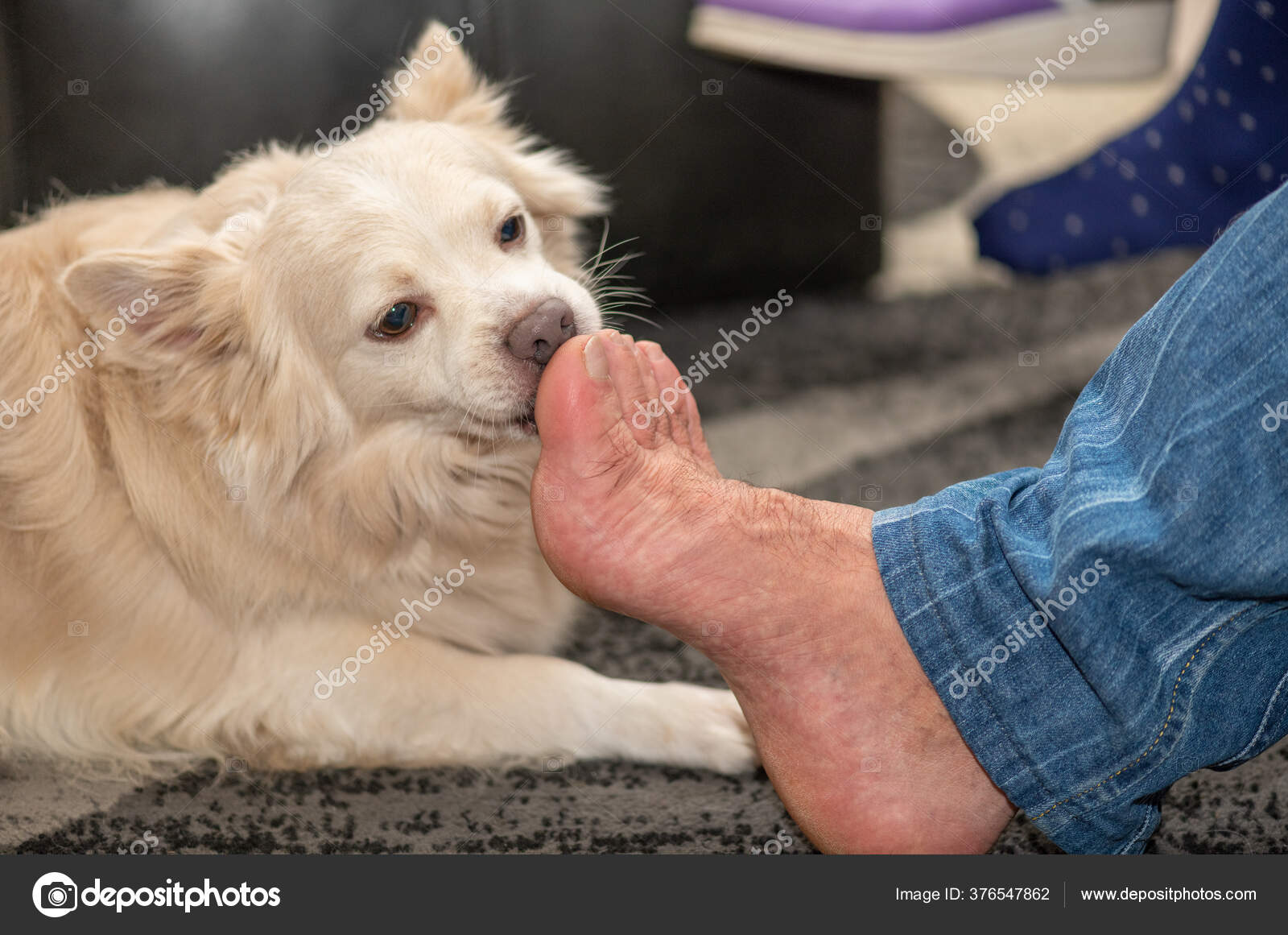 Young Teen Dog Lick