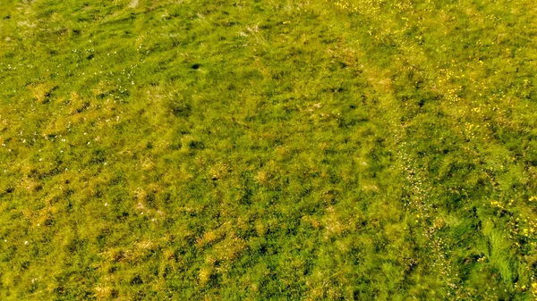 夏のアイスランドの緑の芝生 空の景色 — ストック写真