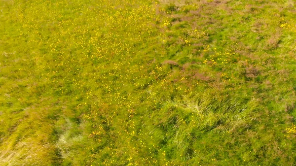 Grama Verde Islândia Temporada Verão Vista Aérea — Fotografia de Stock
