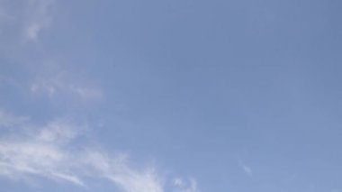 Havaalanında, ticari uçak uçak iniş, uçak iniş uçak havaalanında geldi, Varşova Chopin Havaalanı, arazi için ticari Airbus geliyor