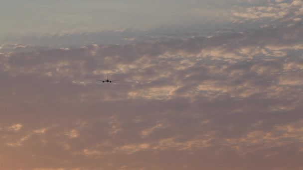 夕日を背景に飛行機が離陸、旅客機は夕暮れの空港から離陸滑走路の上を飛ぶ、飛行機が夕日で離陸 — ストック動画