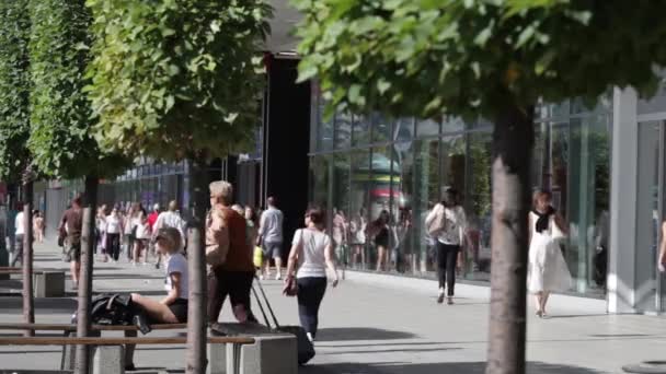 Menigte van mensen lopen op straat. Zomerse zonnige dag, mensen op de straat gekleed in zomer kleding. Groene bomen op de voorgrond. Mensen lopen in de straat. Meisjes bikini tentoongesteld van de winkel in de stad te kijken. Twee vrouwelijke ondernemers praten een — Stockvideo