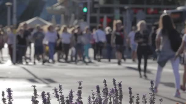 Molta gente che muove le gambe sta attraversando una transizione. Traffico pedonale cittadino Traffico pedonale. Una sequenza di folle anonime che attraversano la strada. Vista del traffico a pedale . — Video Stock