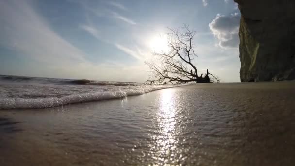 Puesta de sol en el río — Vídeo de stock