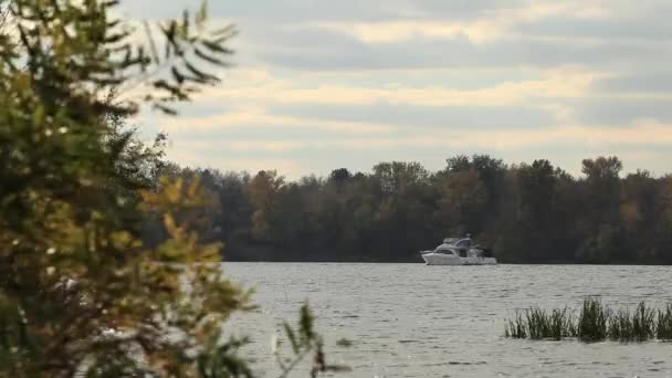 Witte boot vaart langs de rivier via de herfstbladeren. Mooie boot drijft op de rivier. Boot drijft op de rivier. Gele bomen aan de rivieroever. — Stockvideo