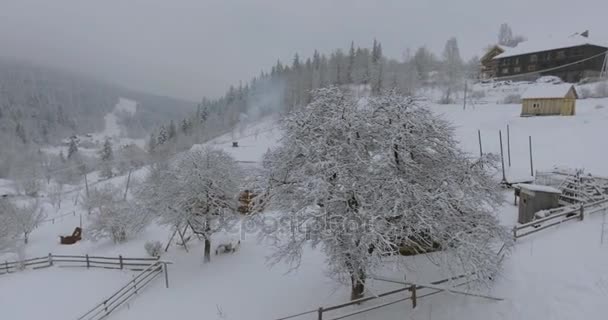 村の冬の山の風景。雪に覆われた木造の上の高さからフライト。冬の村。冬の鳥の目のビューからソウル. — ストック動画