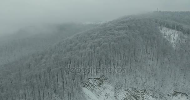 冬の山。山の冬の風景以上のフライト。山の雪の冬。曇った冬の日。鳥の目のビューからの山の風景. — ストック動画