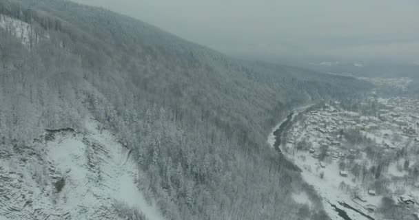 겨울에 산입니다. 산의 겨울 풍경 이상의 비행입니다. 눈 덮인 겨울 산에서. 흐린 겨울 날입니다. 조류의 눈 보기에서 산 풍경. — 비디오