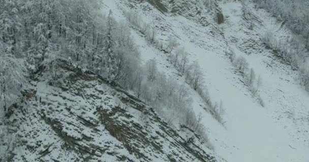 冬の山。山の冬の風景以上のフライト。山の雪の冬。曇った冬の日。鳥の目のビューからの山の風景. — ストック動画