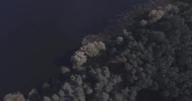 Hava: orman peyzaj göl manzaralı. Sonbahar dönemi, bulutlar ile güneşli bir gün. güzel bir orman göl, yüksek bir tür. yeşil ağaçlar tarafından su dur. Orman manzara. Ukrayna. 