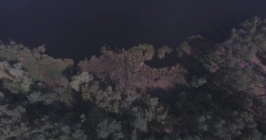 Hava: orman peyzaj göl manzaralı. Sonbahar dönemi, bulutlar ile güneşli bir gün. güzel bir orman göl, yüksek bir tür. yeşil ağaçlar tarafından su dur. Orman manzara. Ukrayna. 