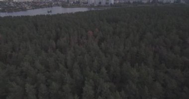 Hava Anket: Kiev-Akademgorodok. Cityscape havadan. Orman manzara metropol ve göl manzaralı. şehrin kenarında güzel bir göl. bir göl kentsel manzara ile yeşil orman.