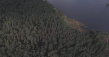 Hava: orman peyzaj Göl Manzaralı.