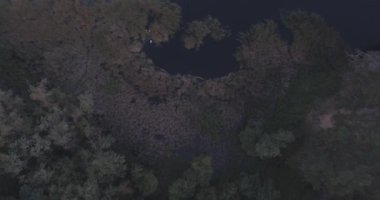 Hava: orman peyzaj Göl Manzaralı.