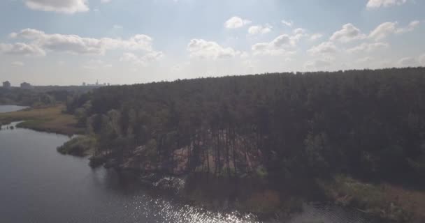 Aérea: Paisaje forestal con vista al lago. período de otoño, un día soleado con nubes. un hermoso bosque junto al lago, una especie de alto. árboles verdes están junto al agua. paisaje forestal. Ucrania . — Vídeo de stock