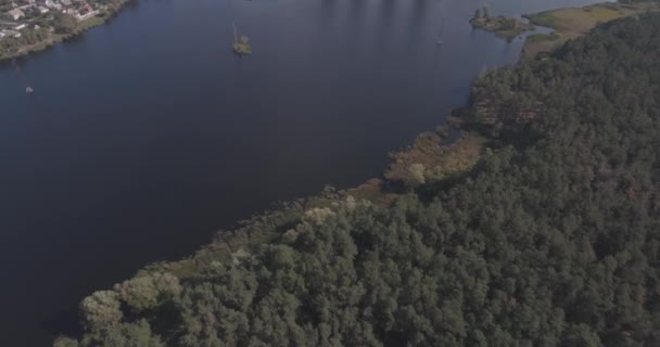 Aérea: Paisaje forestal con vista al lago. período de otoño, un día soleado con nubes. un hermoso bosque junto al lago, una especie de alto. árboles verdes están junto al agua. paisaje forestal. Ucrania . — Vídeo de stock