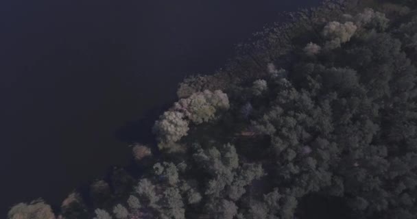 Aérea: Paisaje forestal con vista al lago. período de otoño, un día soleado con nubes. un hermoso bosque junto al lago, una especie de alto. árboles verdes están junto al agua. paisaje forestal. Ucrania . — Vídeo de stock