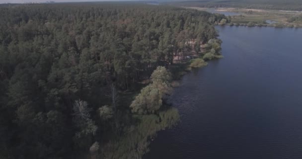 aérien : Paysage forestier avec vue sur le lac. période d'automne, une journée ensoleillée avec des nuages. une belle forêt au bord du lac, une sorte de haut. arbres verts se tiennent près de l'eau. paysage forestier. Ukraine . 