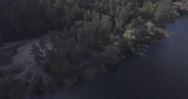 Antenn: skog landskap med utsikt över sjön. Höstens period, en solig dag med moln. en vacker skog vid sjön, ett slags hög. gröna träd stå vid vattnet. skogslandskapet. Ukraina. — Stockvideo