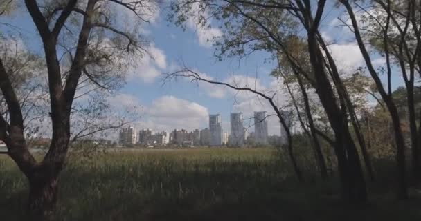 Estudio aéreo: Kiev-Akademgorodok. paisaje urbano desde el aire. Paisaje forestal con vistas al lago y a la metrópolis. un hermoso lago en el borde de la ciudad. bosque verde con un paisaje urbano lago . — Vídeo de stock