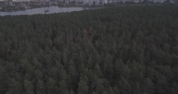 空中调查: 基辅-Akademgorodok。从空气的城市景观。森林风景以湖和大都会的看法。一个美丽的湖在城市的边缘。绿色森林与湖城市风景. — 图库视频影像