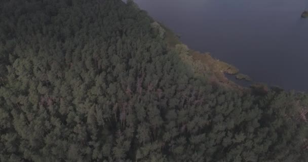 Luchtfoto: bos landschap met een uitzicht op het meer. — Stockvideo