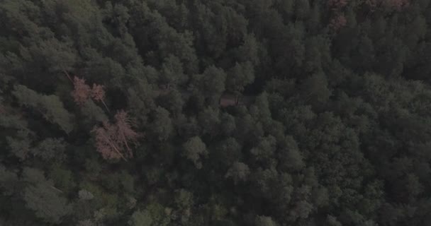 Aérien : Paysage forestier avec vue sur le lac . — Video