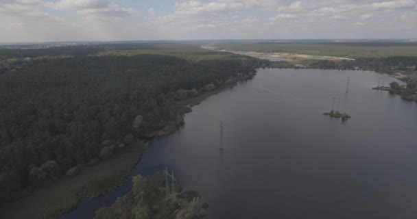 Aerea: paesaggio forestale con vista sul lago . — Video Stock