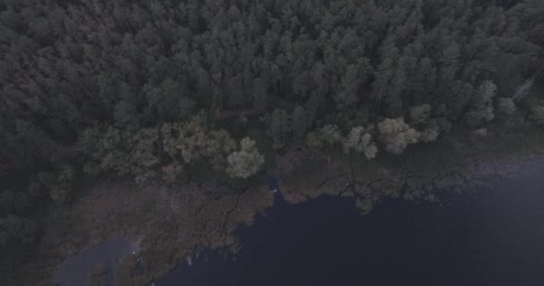 Aérea: Paisaje forestal con vista al lago . — Vídeos de Stock