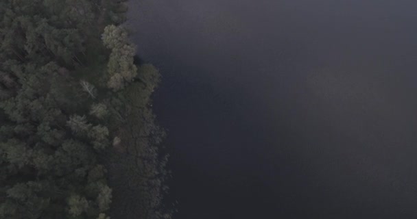 Aérea: Paisaje forestal con vista al lago . — Vídeo de stock