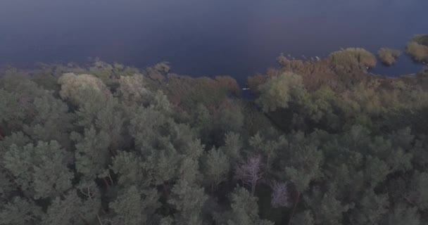 Antenn: skog landskap med utsikt över sjön. — Stockvideo