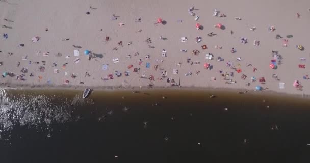 Antena z plaży. słoneczny letni dzień, ludzie są opalając się na żółtym piszczenie na brzegu Dniepru rzeki Kijowa. dzień wolny, wakacje na plaży. duża liczba turystów pływać. — Wideo stockowe