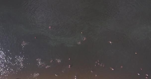 Antenne de la plage. journée ensoleillée d'été, les gens prennent un bain de soleil sur un grincement jaune sur la rive de la ville de la rivière Dniepr de Kiev. jour de congé, vacances sur la plage. un grand nombre de touristes nagent . — Video