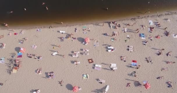 Aerea della spiaggia. estate giornata di sole, la gente sta prendendo il sole su un cigolio giallo sulla riva della città del fiume Dnieper di Kiev. giorno libero, vacanza sulla spiaggia. un gran numero di turisti nuotare . — Video Stock