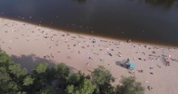 Воздушное пространство пляжа. летний солнечный день, люди загорают на желтом скрипе на берегу Днепра. выходной, отпуск на пляже. большое количество туристов плавает . — стоковое видео