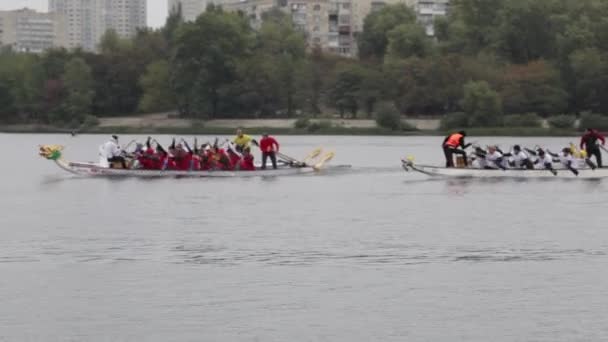 Kano wedstrijden in Kiev op 30 september 2017. De zwemmers race is 5 kilometer naar de rivier Dnipro. Kano 10 zetel in de boeg van de boot hoofd van de draak. — Stockvideo