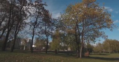 Gün batımında, hava şehrin konut alanı. Cityscape, Park ve meydanları bir yükseklikten. Yaz gecesi, daire ev, yeşil ağaçlar. Dnepr nehir. Araba ile yollar. Tanığımız Park.