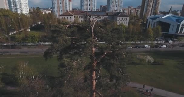 夕暮れ時 空中都市の住宅街 都市の景観 公園や広場の高さから 夏の夜 集合住宅 緑の木々 ドニエプル川 車の軌跡 公園でくつろぐ人々 — ストック動画