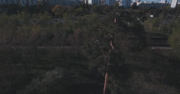 Житловому Районі Міста Заході Сонця Антена Міський Пейзаж Парках Скверах — стокове відео