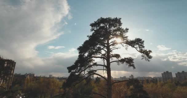 夕暮れ時 空中都市の住宅街 都市の景観 公園や広場の高さから 夏の夜 集合住宅 緑の木々 ドニエプル川 車の軌跡 公園でくつろぐ人々 — ストック動画